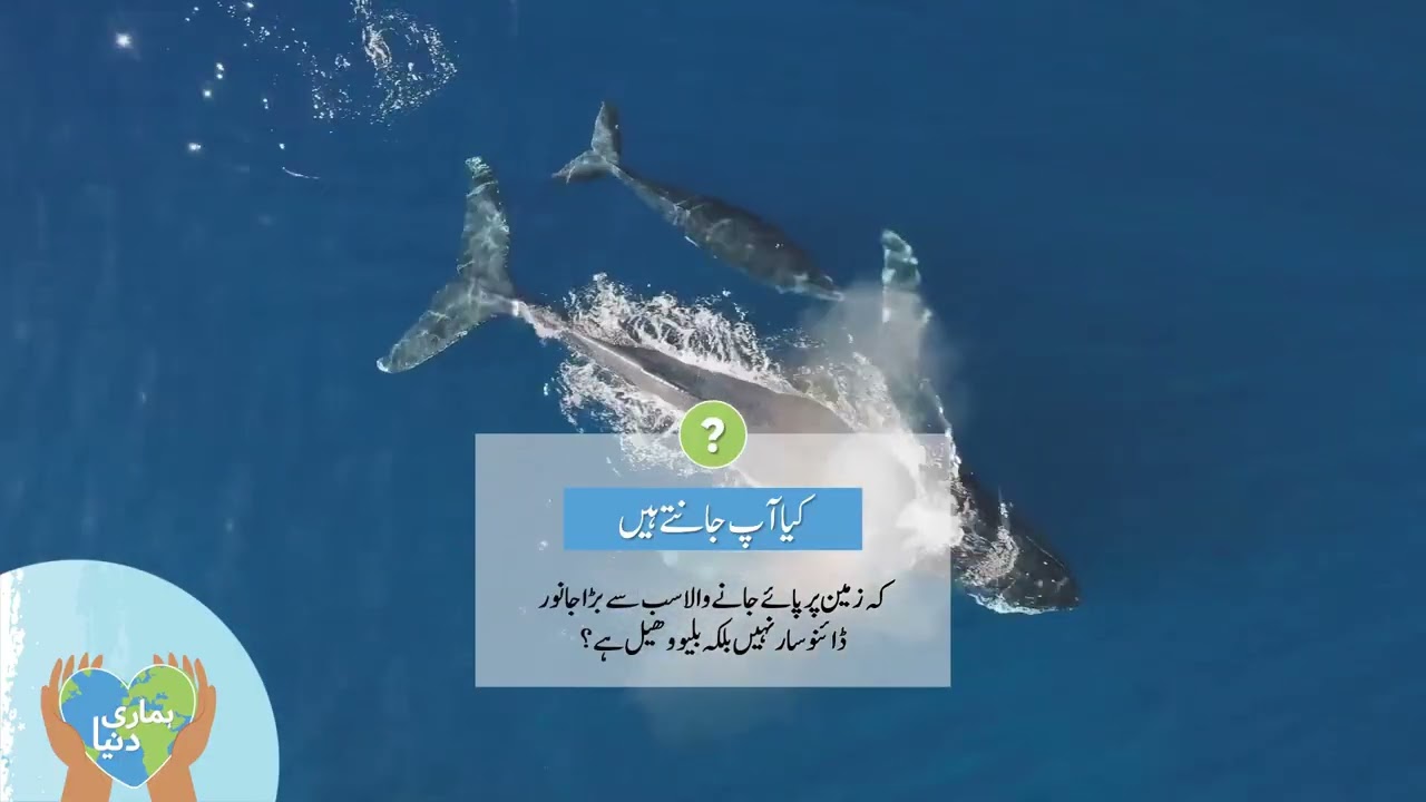 Class 8 Math | Square Roots of Decimal Numbers | Easy Method, Steps & Examples