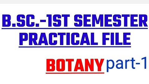 B.Sc. 1st semester practical file botany||B.Sc. 1st semester botany prectical file