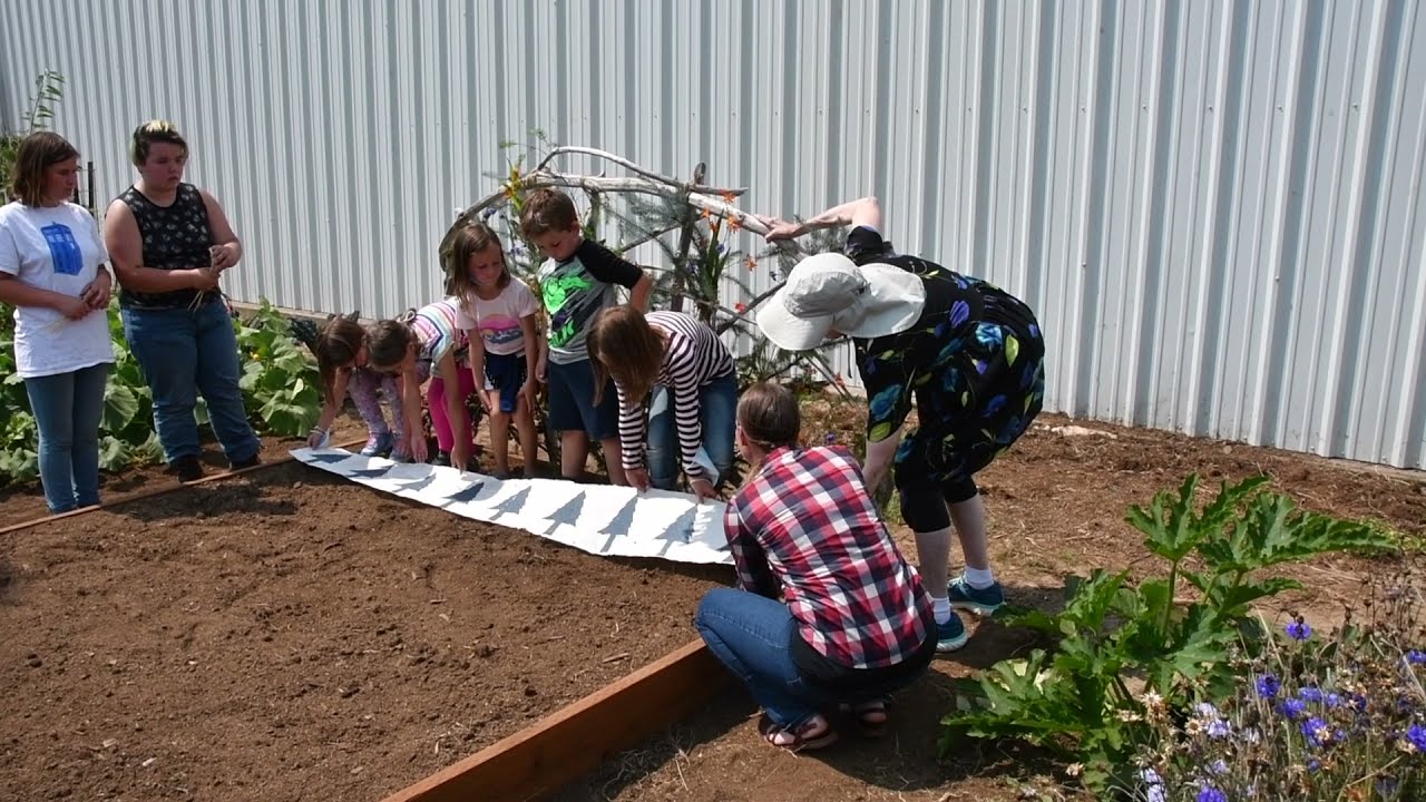 Youth Arts Summer Program 2021 (short version)