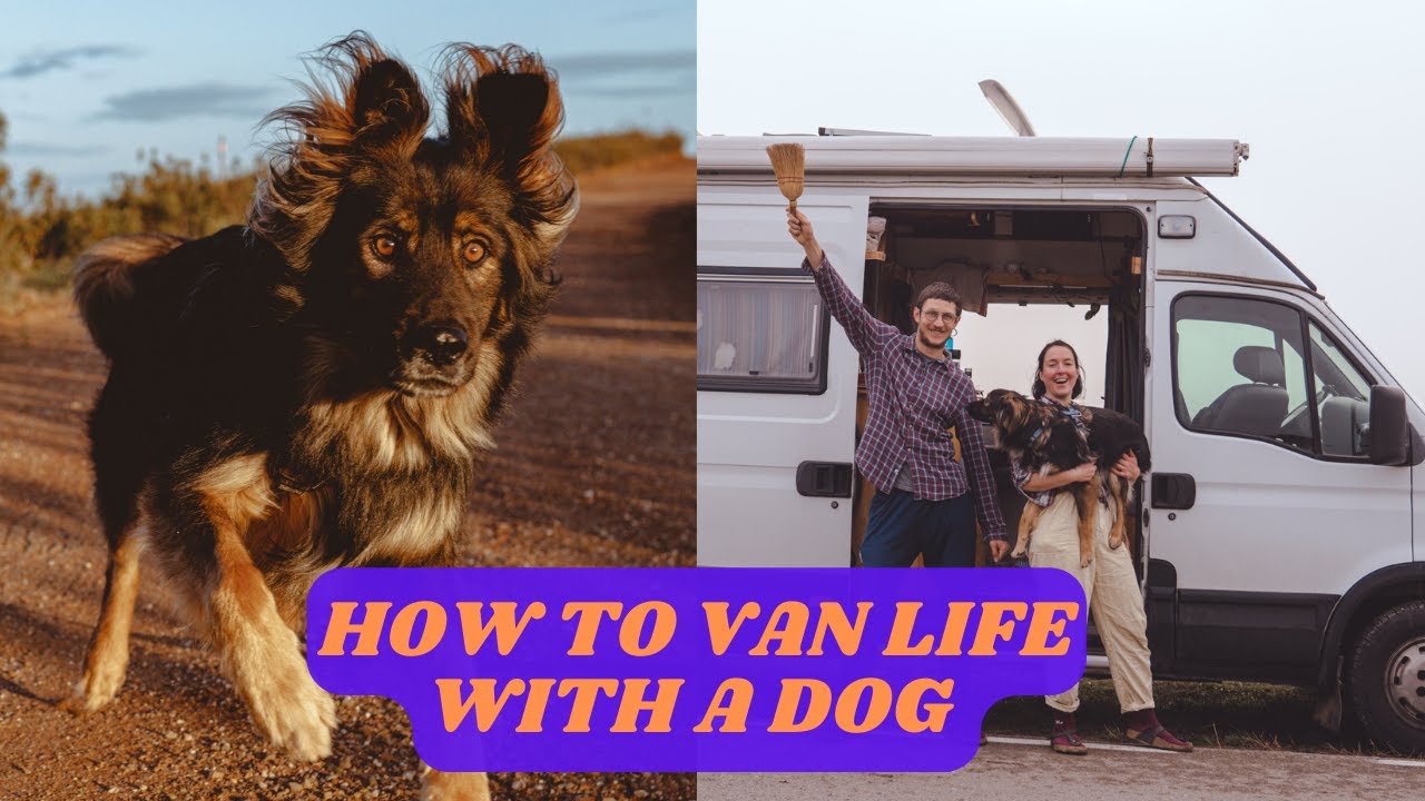 Big Dog Travel: How To Live A Full Time Van Life With Your Dog (Gear, Activities, Heat)