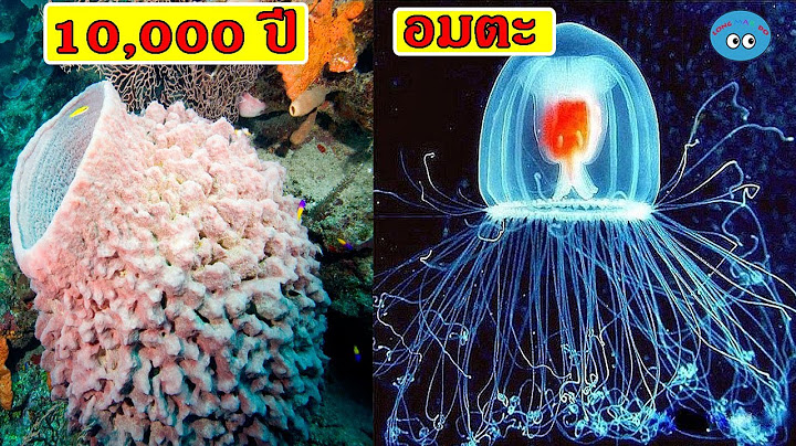 10 สิ่งมีชีวิตที่มีอายุยืนที่สุดในโลก(มีอายุกี่ปีกันนะ)
