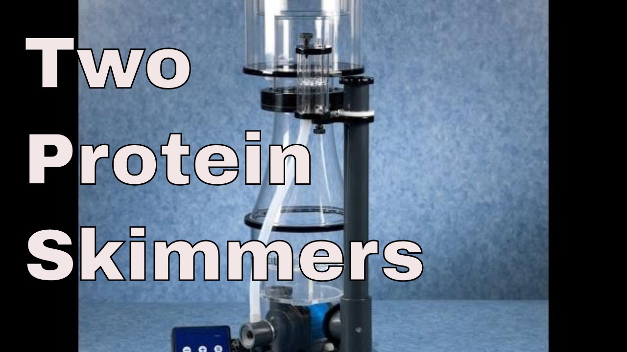 protein skimmer - two protein skimmers for one aquarium