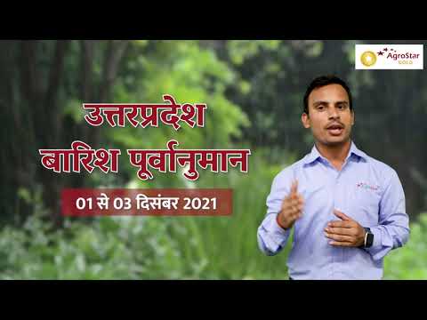 एग्रोस्टार मौसम पूर्वानुमान 01 से 03दिसंबर  में इन जिलों में बारिश होगी Uttar Pradesh Weather Update - एग्रोस्टार मौसम पूर्वानुमान 01 से 03दिसंबर  में इन जिलों में बारिश होगी Uttar Pradesh Weather Update