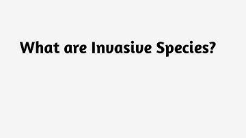 What are Invasive Species ?