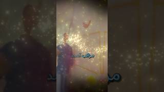 مراتب المجد لا يرقى لها أبدا #حكمة #شعر