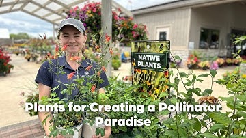 Creating a Pollinator Paradise