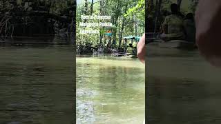 Mangrove Paddle Adventure in Puerto Princesa #PuertoPrincesa #MangroveTour #PaddleBoat #EcoAdventure