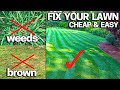 FIX YOUR LAWN WITH 3 STEPS - EASY