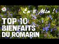 8 min pour apprendre les 10 bienfaits du romarin  immunit antimicrobien toux