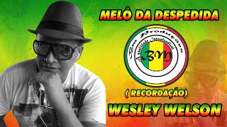 Melô Da Despedida - Wesley Welson