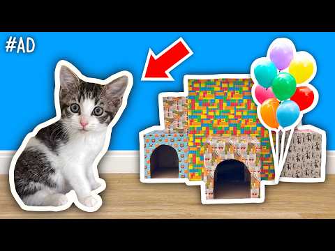My Cat Henry's 1st BIRTHDAY!