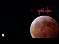 Pearl jam  superblood wolfmoon