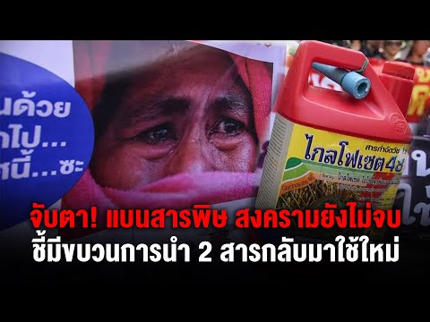 จับตา! แบนสารพิษ สงครามยังไม่จบ ชี้มีขบวนการนำ 2 สารกลับมาใช้ใหม่