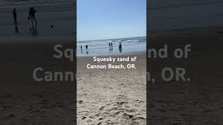 Squeaky Sand of Cannon Beach, OR. #cannonbeach #beach #sand #family