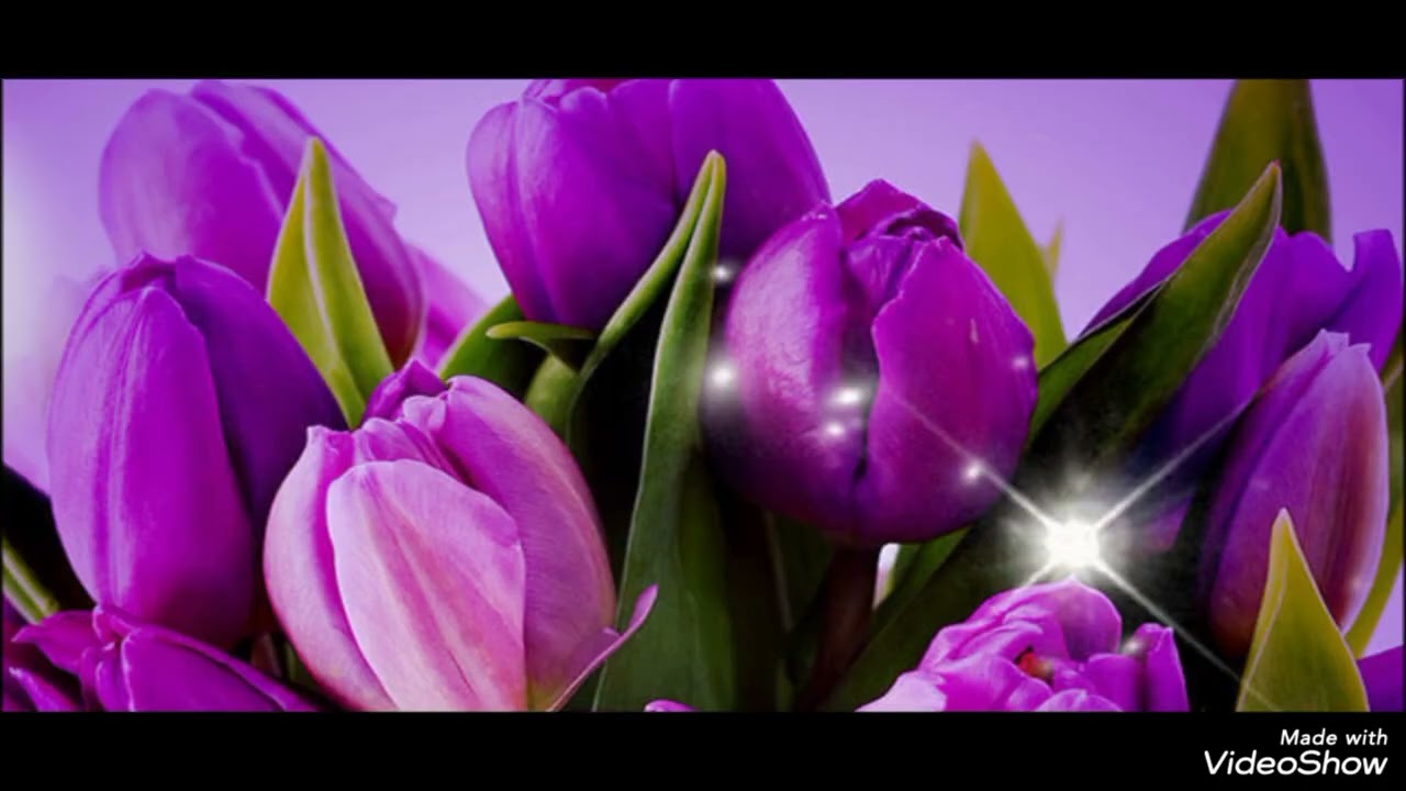 Nang lotpa ngamloi, Manipuri Gospel track. 