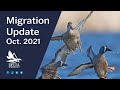 Migration Update | Oct. 2021