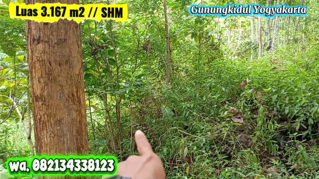 DIJUAL 90 JUTA,TANAH TEGALAN LUAS 3.167 M² sdh SHM