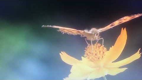 Qui trình xử lý ký ức về Tiền Bạc(nghe lặp lại 21 ngày)