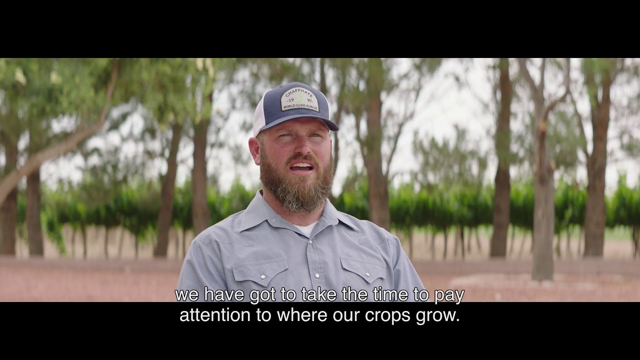 Crop Cycles | 30 Harvests Sustainability Series