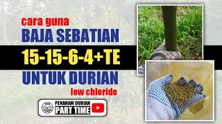Cara Guna Baja Sebatian 15-15-6-4 TE Untuk Durian