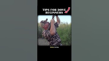 🕊️ DOVE HUNTING TIPS FOR BEGINNERS