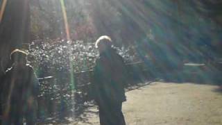 VID00036.AVI