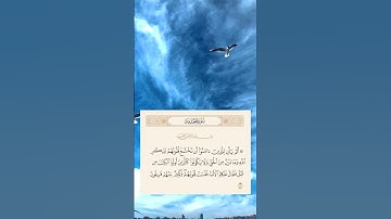 (سورة الحديد) (16)