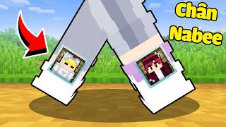 Tô Gà Sinh Tồn Bên Trong Chân Của Nabee!