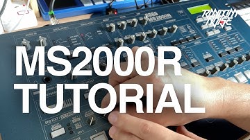 Korg MS2000r - One Synth Challenge: Creating a track using only one synthesizer