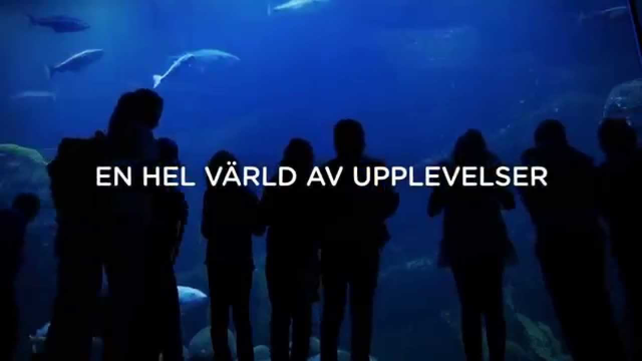 Välkommen till Universeum - här börjar äventyret!