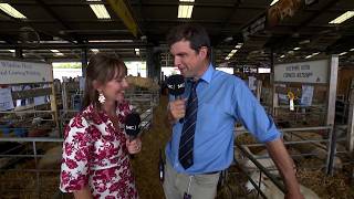 Dafydd Jones - Milfeddyg y Sioe | Royal Welsh Show Vetenarian