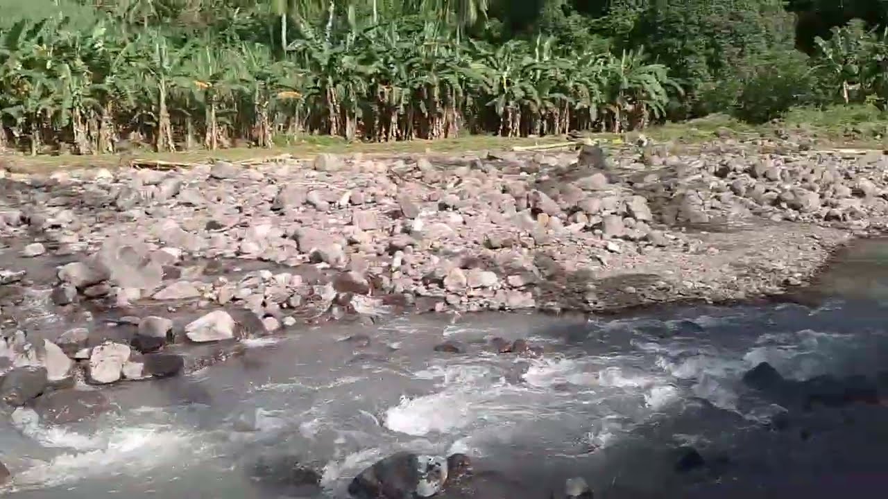 Distraction in Manjuyod part 2 