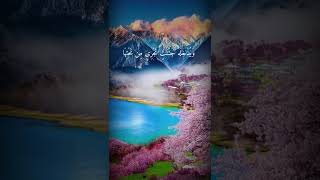 تلاوة خاشعة للقارئ الشيخ نعمة الحسان سورة التغابن ايه 9