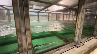 Alfred C. Glassell, Jr. SUrge STructure Atmosphere Interaction Laboratory (SUSTAIN)