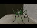 Playable Cave Cricket