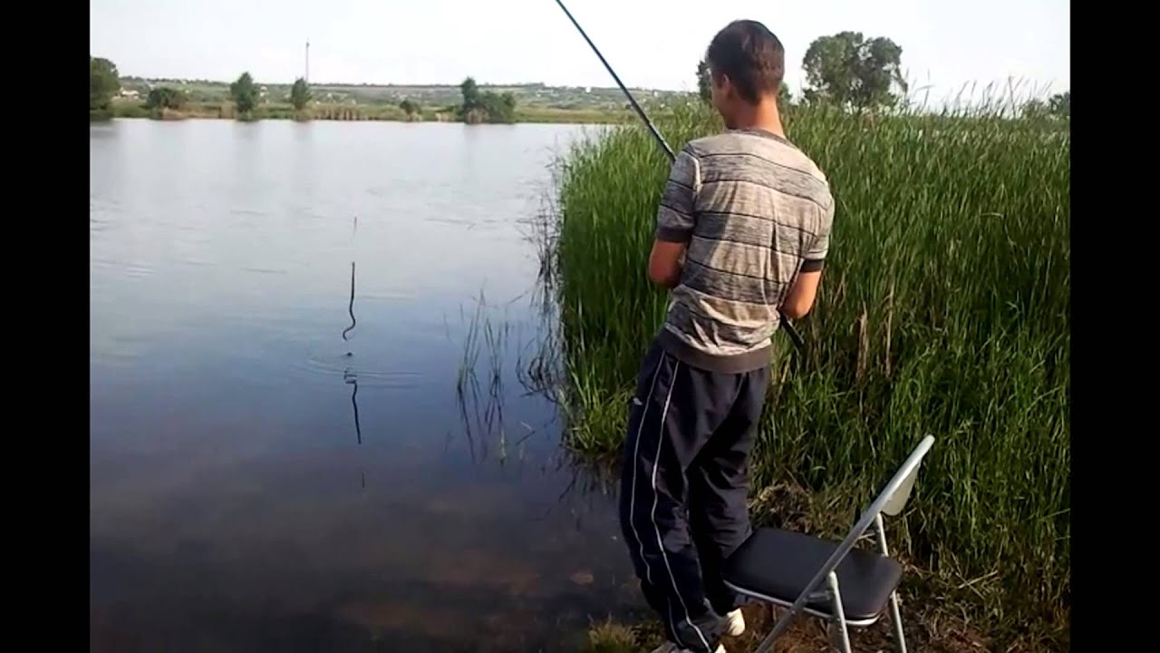 Клев на оке