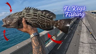 Florida Keys Bridge Fishing