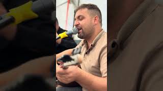 Karni Büyük Koca Dünya Ugur Torun Adem Torun
