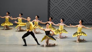 Paquita | Grand Pas Classique | Ural Ballet (DVD / Blu-ray excerpt)