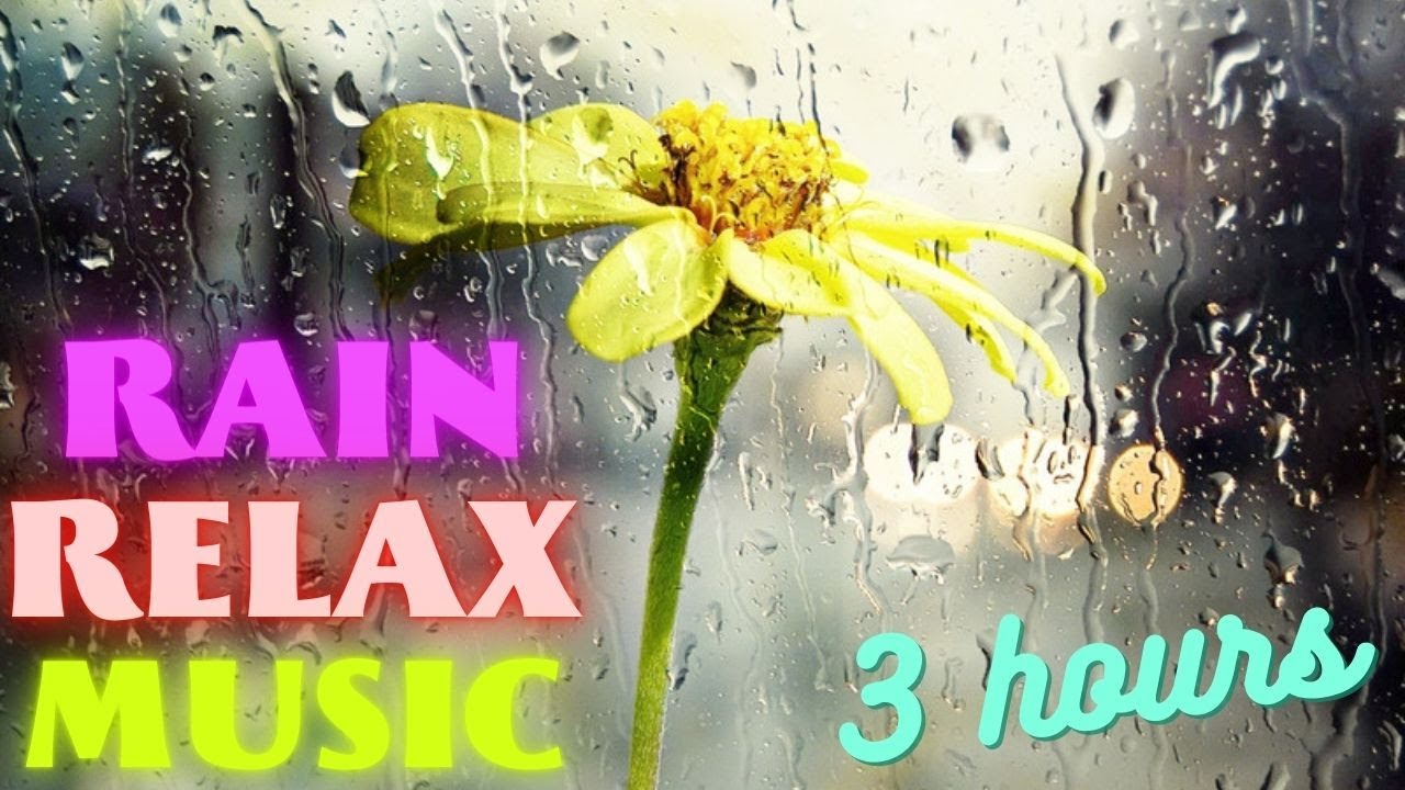 Beatiful Relax Rain Video for Sleep, Yoga and Meditaion Guaranteed Sleep in 30 minutes. YouTube