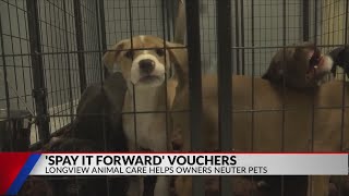 $45,000 grant awarded to Longview PAWS to help their spay, neuter campaign
