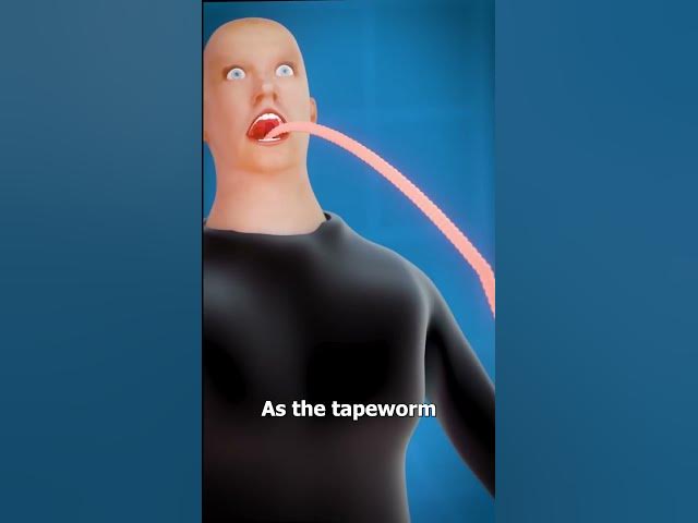 What Is A Tapeworm? 😨