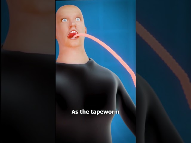 What Is A Tapeworm? 😨 class=