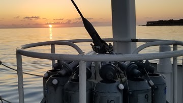 CTD Rosette Training