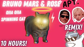 BRUNO MARS AND ROSE APTOII (Spinning Cat Remix) OIIA OIIA 10 HOURS!