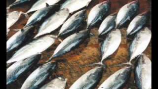 6 - Zambla Et Les Sardines