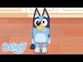 ブルーイの新たな年が始まります！🎉💙 ﻿| ブルーイ - 日本公式チャンネル - Bluey