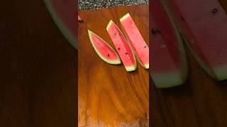 Fatma666544000934021 mini tillage and ridging all-in one short view #travel #beach #flowers