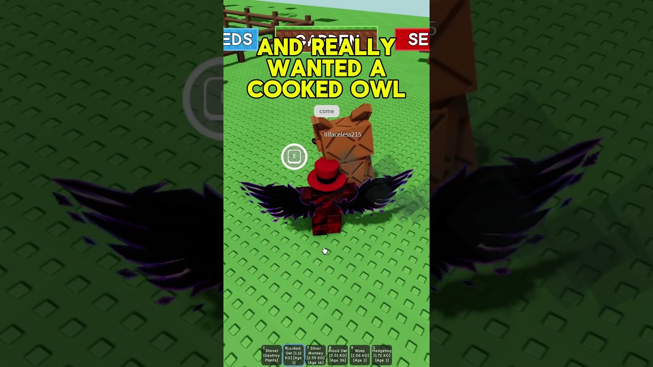 раздаю приготовленную сову в качестве питомца в игре "Вырасти сад" в Roblox