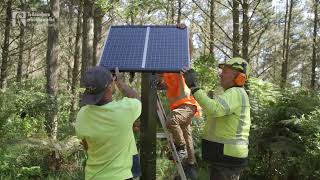 Waitangi forest and bike park get ultra-early fire detection system